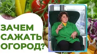 Предприниматель Татьяна Манайчева о своем огороде и мотивации им заниматься