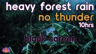 [Black Screen] 10 Hours of Heavy Rain in Forest No Thunder | Rain on Leaves Sounds for Sleep