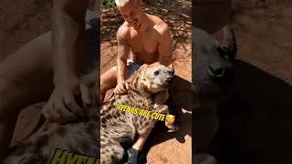 HYENAS ARE MISUNDERSTOOD 🐾❤️