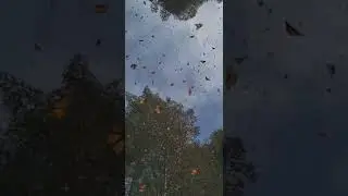 успокойся и посмотри😱 
