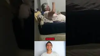Este gatito es muy juguetón #shorts