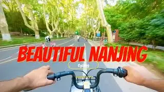 I cycled along the most beautiful streets in Nanjing.#travel #journey360 #journey360