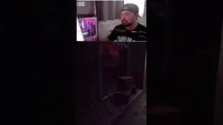 What Happened? | Escape From Tarkov