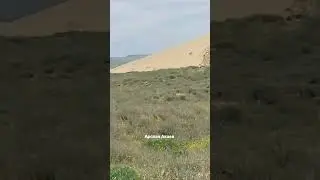 Крупнейший песчаный бархан в Европе, расположен в Кумторкалинском районе Дагестана. Арслан Акаев