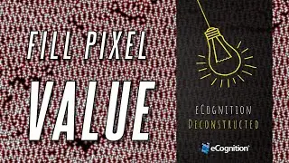 eCognition Deconstructed: Fill Pixel Values