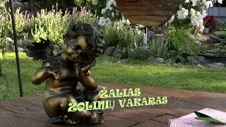 ŽALIAS ŽOLINIŲ VAKARAS  2024