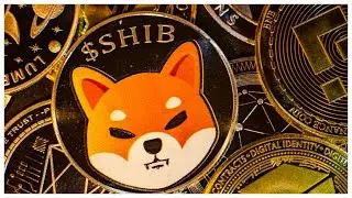 Shiba Inu (SHIB) Yakımları, Fiyatı Yukarıya Taşıdı