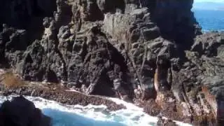 end of the line.mp4