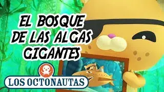 Los Octonautas Oficial en Español - El Bosque De Las Algas Gigantes | Episodio 19