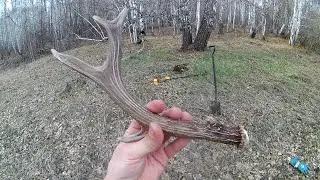 Копаю на выбитом месте.