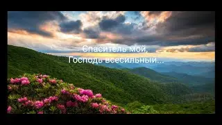 Спаситель мой, Господь всесильный...