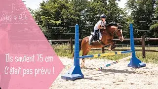WOW ! Ils sautent 75 cm, ce n'était pas prévu !