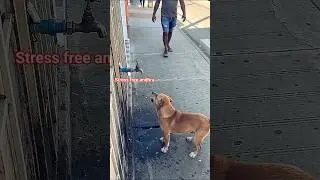 పిల్లలు కి సంస్కారం నేర్పితే ఇలా ఉంటుంది 🙄👏🏻👌🏻🤝👍🏻