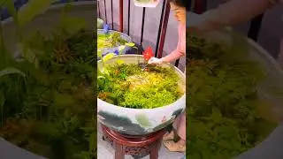 बहुत सुंदर