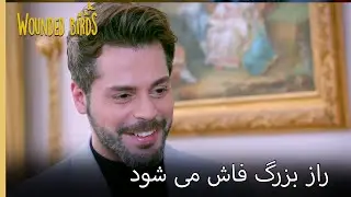 آیا او پسر من است؟ | نمیره قسمت 200 | پرندگان زخمی