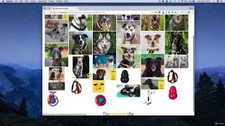 Google Search Engine Clone Project  - Part 1 [Introduction]