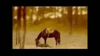 Маша И Медведи   Земля