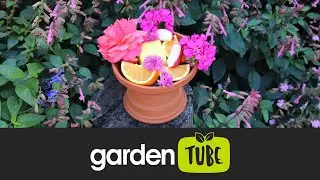 DIY  Butterfly Feeder