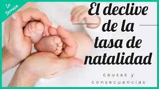 ¿Por qué está bajando la tasa de natalidad? Factores clave y tendencias | LaTerraza.io