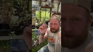 Garden Tour