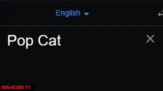 УЧИМ КАК БУДЕТ ПЕРЕВОДИТЬСЯ POP CAT!!!