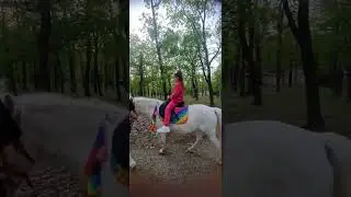 Настя катается на лошадке Фиеста. Прогулка в парке. Тёплый апрель