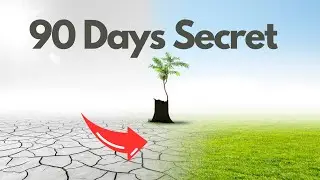 What happens when you chase your dreams for 90 days