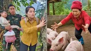 Caught in the Act ! My Mother-in-Law’s Plot Against Our Pigs – Harvesting 100kg Cabbage for Market