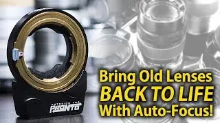 Bring Old Lenses BACK TO LIFE with Auto-Focus - PRONTO Auto-Focus Lens Adapter