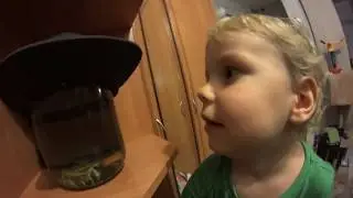 Где раки зимуют?