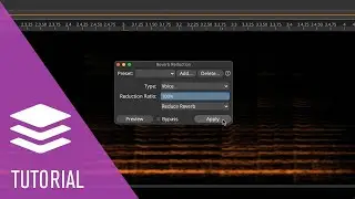 Introduction to Tools and Processes | Getting Started With SpectraLayers