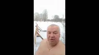 С Днем Моржа 24 ноября 2022
