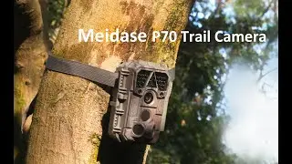 Meidase P70 Trail Camera