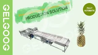 Pineapple Cleaning Production Line Pineapple Washing Machine For Mexican Customers