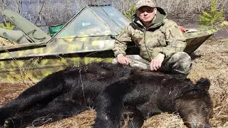 На медведя с Юрием Александровичем 2024