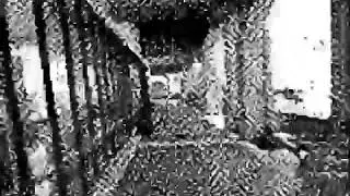 1-bit 