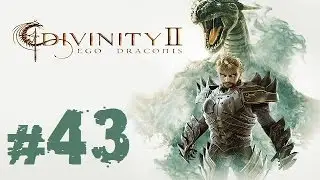 Прохождение Divinity II: Ego Draconis - Часть 43 (Сет Ультринга)