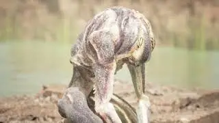 Unreal Engine 5 Monster in his normal environment
