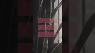 EMI - KOREA - Adelanto 1