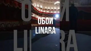 Гармония роскоши и природного рельефа в коллекции Linara