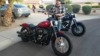 2019 Harley Davidson Street Bob & Softail Slim side by side