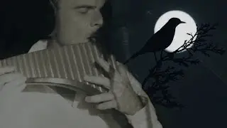 Одинокая Флейта. Ночная птица. (К. Никольский).