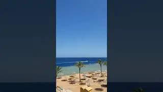 отель в египте альбатрос роял гранд шарм-эль-шейх