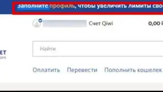Серия и номер паспорта для QIWI