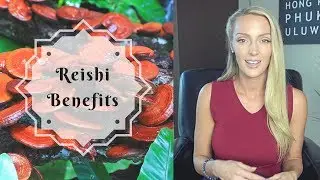 Reishi Benefits | What You Need to Know