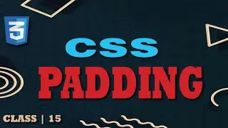 CSS Tutorial Class 15: Perfecting Padding in CSS 📏 | Beginner's Guide to CSS Padding  