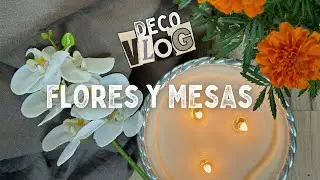 🌸 TIP para ORQUÍDEAS sin FLORES 🌿 ¡TRASPLANTAMOS la BUGANVILIA! ✨ Monto una MESA DIFERENTE