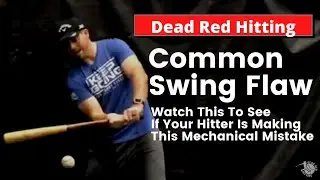 1 Baseball Swing Mechanic For More Power and Consistency