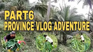 Part 6 || Province Adventure || Manguha Kami ng Native Gabi || 