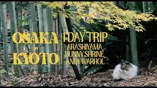 OSAKA - KYOTO day trip vlog - Arashiyama bamboo 🎍 forest, Rabbit 🐇 shrine, andy warhol